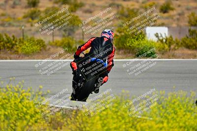 media/May-10-2024-2WTD (Fri) [[c88d7990af]]/Group C/Session 2-The Bowl/